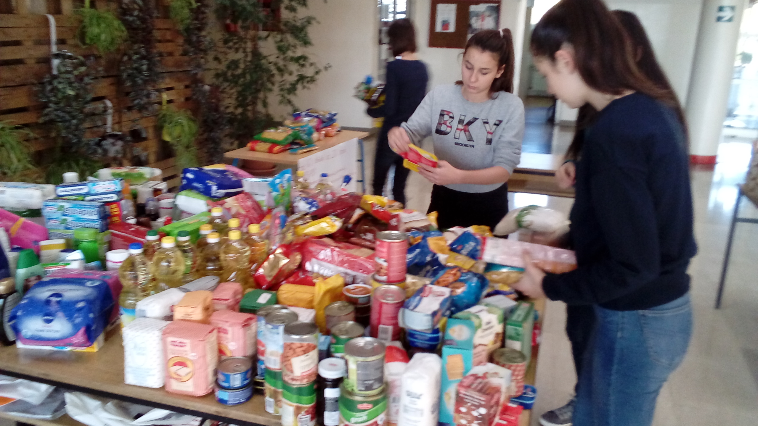 USPJEŠNO PROVEDENA HUMANITARNO-SABIRNA AKCIJA SOLIDARNO ZA VUKOVAR, 16. – 22. 11. 2017.