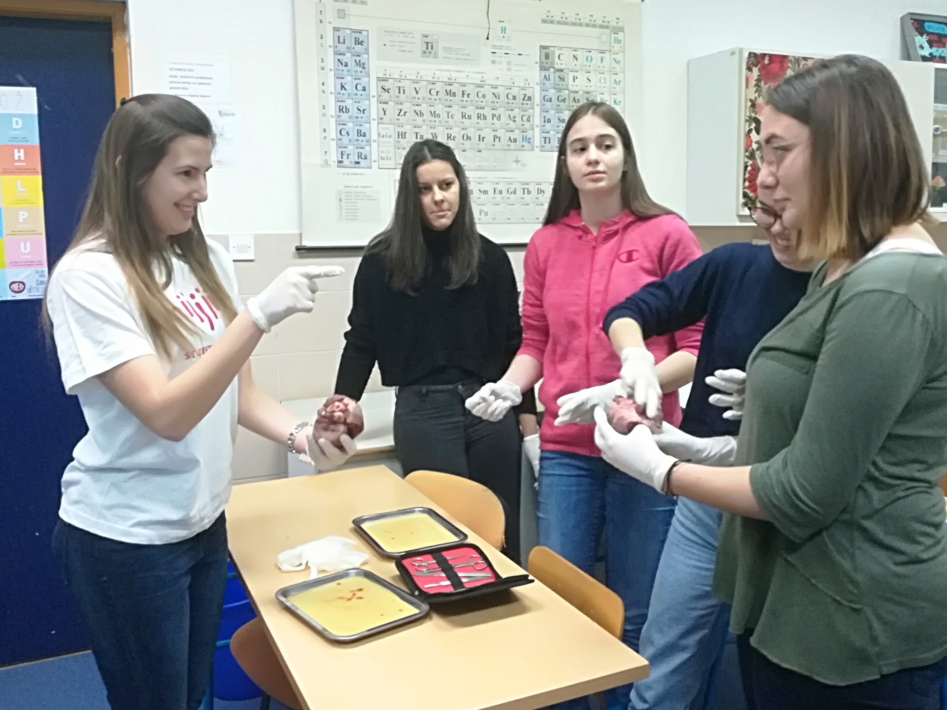 Projekt “Čuvajmo naše srce” u I. gimnaziji