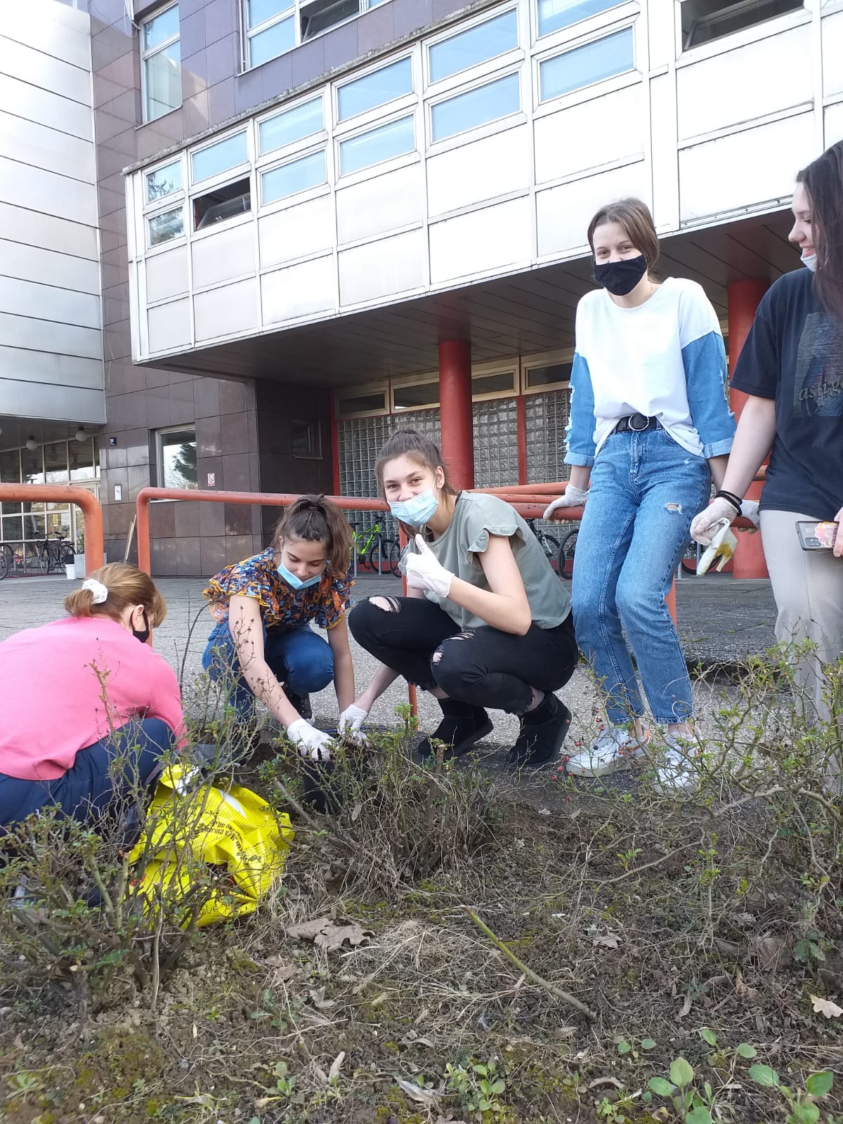 I. gimnazija doprinijela uspjehu Nacionalne kampanje sadanje stabala “Zasadi stablo, ne budi panj!”
