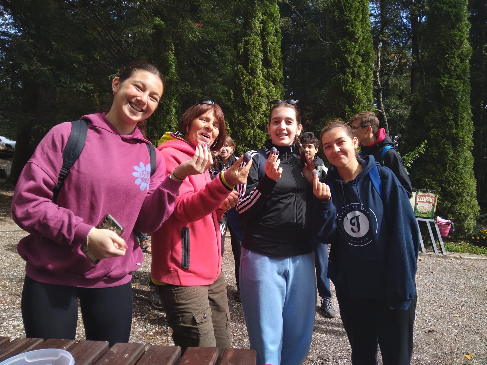 Tradicionalno planinarenje na Medvednicu