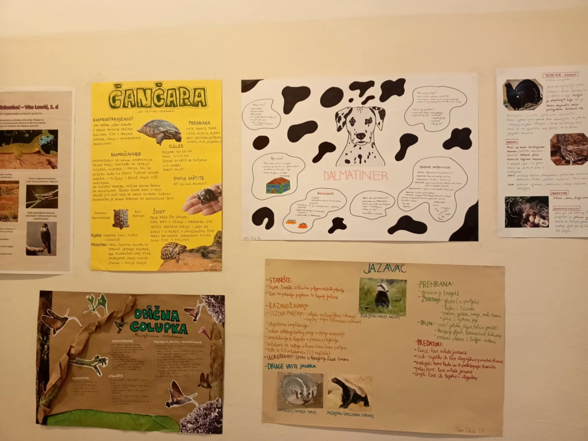 Svjetski dan biološke raznolikosti i Dan zaštite prirode u Hrvatskoj – izložba učeničkih radova