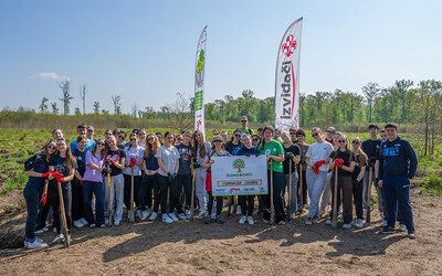 Šumoborci Prve posadili novih 1000 mladih hrastova