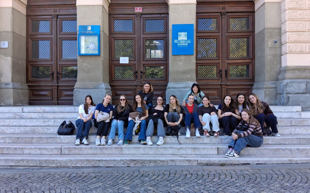 Erasmus+ projekt DAH – Digital and Healthy